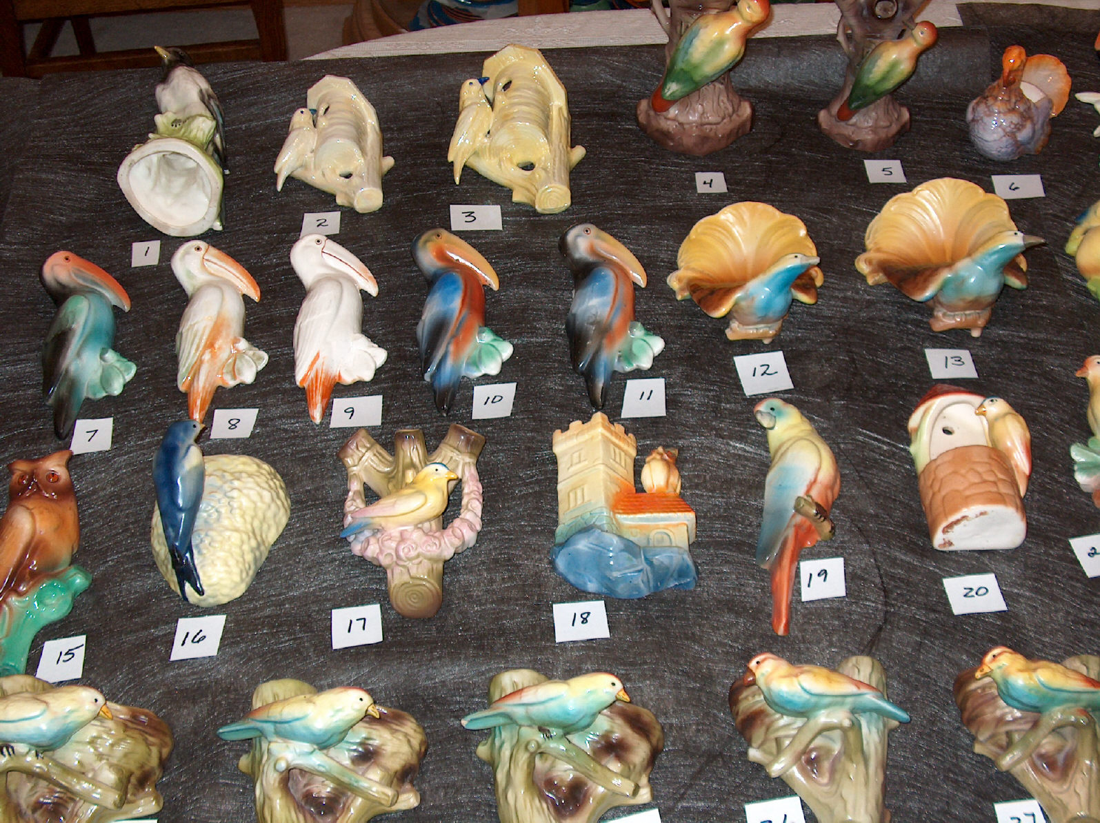 birds